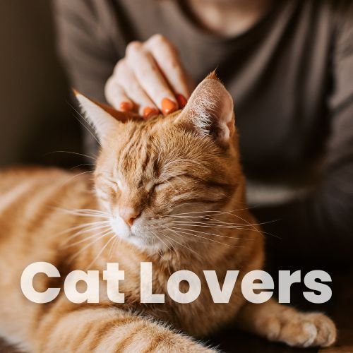 Gifts for cat lovers – cute, useful and fun items