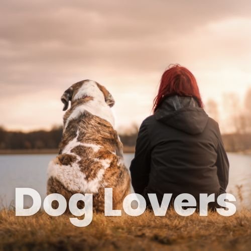 Unique gift ideas for dog lovers – toys, accessories, and custom items