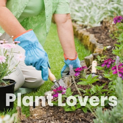 Green gift ideas – planters, tools and DIY plant kits