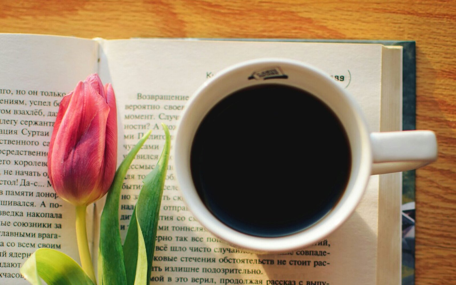 Creative Gift Ideas for Book Enthusiasts
