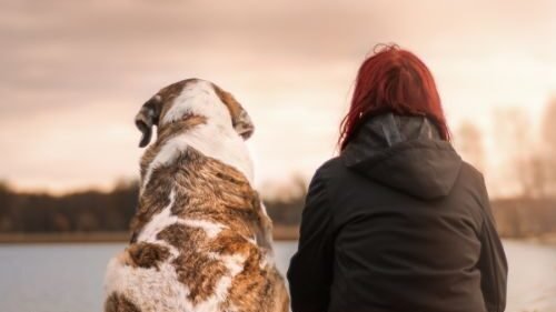 Unique gift ideas for dog lovers – toys, accessories, and custom items
