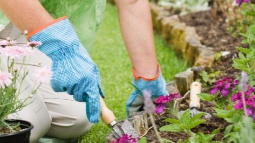 Green gift ideas – planters, tools and DIY plant kits